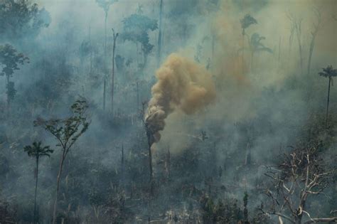activists follow  money fueling  amazon fires
