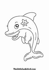 Dolphin Coloring Pages Drawing Cute Realistic Easy Dolphins Bottlenose Step Color Line Adults Printable Getdrawings Beginners Getcolorings Colorings Decoration Amazing sketch template