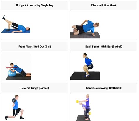favourite  limb strength  core stability exercises  cyclists ec