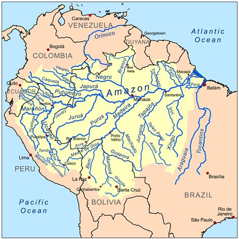 Amazon Basin Wikipedia