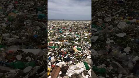 wave of garbage on the dominican republic s coast truth or fiction