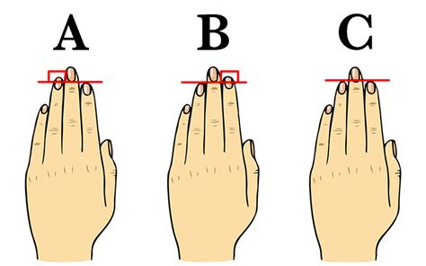The Length Of Your Finger Says A Lot About Your Personality