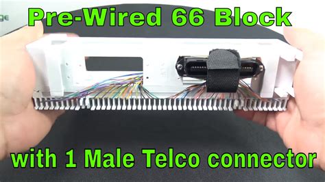 punch   block  male amphenol  pair telco connector youtube
