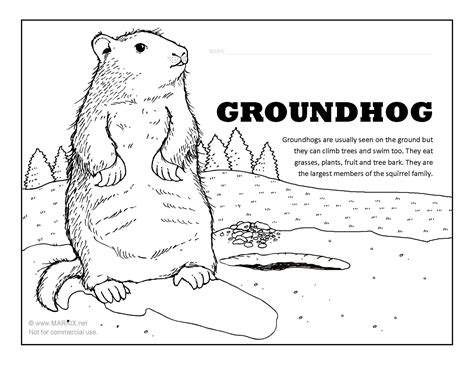 groundhog printable template