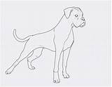 Katzen Hund Ausdrucken Katze Zahlen Genial Fotografieren Malvorlagen Malen Katzenbilder Inspirierend Malvorlage Okanaganchild Spannende sketch template