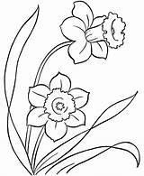 Coloring Easter Flowers Pages Fun Kids Sheets Daffodils Printable Flower Color Spring Poppy Colouring Print Template Drawing Sheet Cartoon Daffodil sketch template