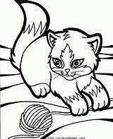 Coloring Kitten Pages Puppy Popular Realistic sketch template