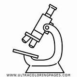 Microscopio Microscope Optico Ottico Microscópio Livro Partes óptico Pepe ângulo Ultracoloringpages Compuesto Pngwing Gaivota Gaivotas Hiclipart sketch template