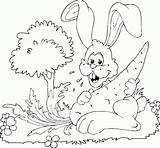 Mewarna Konijnen Kleurplaten Arnab Kleurplaat Mewarnai Kaninchen Malvorlagen Conejo Aktiviti Lobak Roditori Coloriages Animasi Zanahoria Lapins Conejos Hewan sketch template