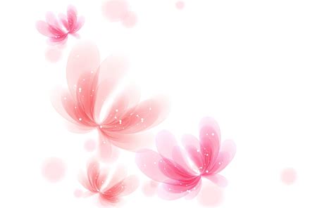 pink  white floral wallpaper wallpaper hd base    desktop