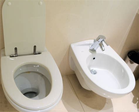 便器が2つのトイレどうやって使う？驚きの「世界のトイレ事情」4選 Bizspa フレッシュ