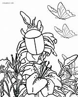 Coloring Pages Bug Printable Cute Bugs Garden Insect Realistic Kids Insects Color Getcolorings Cool2bkids Print Getdrawings Results sketch template