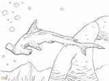 Shark Hammerhead Coloring Pages Color Great Drawing Whale Printable Getdrawings Sheets Getcolorings sketch template