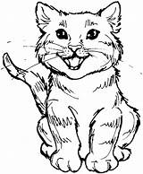 Coloring Cat Pages Tabby Cute Realistic Kitty Cartoon Wild Printable Cats Color Drawing Roaring Real Print Scary Colouring Meal Kids sketch template