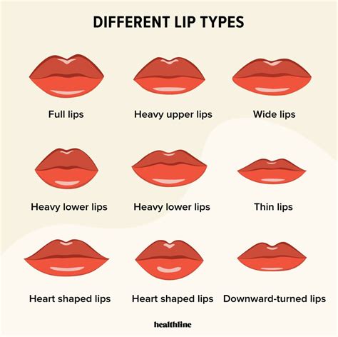 farkli dudak tipleri ve bunlara nasil bakilir haberbin