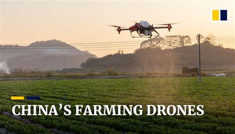 pesticide spraying drones rise  challenge  chinas intelligent agriculture ambition
