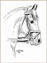 Dressage Pferde Furberg Horses Ausmalbilder Pferd Pferdekopf Coloriage Cheval Mandalas Visiter sketch template