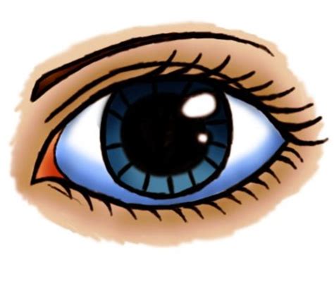 draw  cartoon eye female feltmagnet