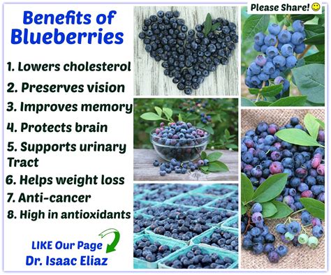 8 health benefits of blueberries health and fitness tips and advice