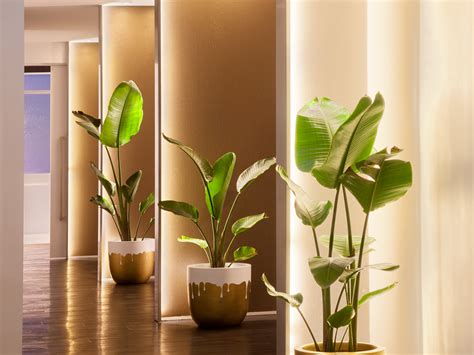 botanica wellness spa clinic world luxury spa awards