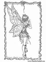 Coloring Pages Fairy Mandala Pheemcfaddell Adult Bird Malvorlagen Flying Fabelwesen Fairies Phee Mcfaddell Drachen Printable Adults Castle Drawings Templates Book sketch template