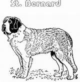 Bernard Pages Saint Coloring Atozkidsstuff St Printable Template Dog sketch template