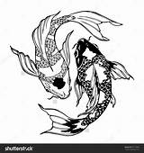 Yang Coloring Carp Koi Yin Ying Pages Fish Illustration рисунки Tattoo Designlooter Printable Vector Drawing контурные Pez Shutterstock тату Lightbox sketch template