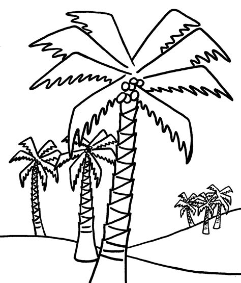 palm tree coloring pages  kids coloring home