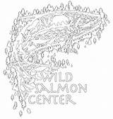 Wisconsin Wildsalmoncenter sketch template