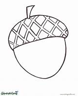 Acorn Coloring Pages Color Sheet Fall Colouring Sheets Alphabet Creative Forest Animals Fruits Coloringtop Da Tumblr sketch template