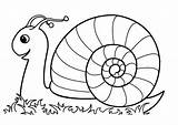 Snail Coloring Pages Rocks sketch template