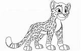 Cheetah Guepardo Everfreecoloring Wolf Pintar Dibujosonline sketch template