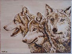 image result  easy wolf wood burning designs pyrography wood burning art wood burning crafts