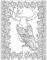 Coloring Raven Adult Framed sketch template