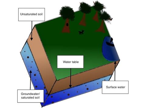 predicting solute transport  groundwater  simulation comsol blog