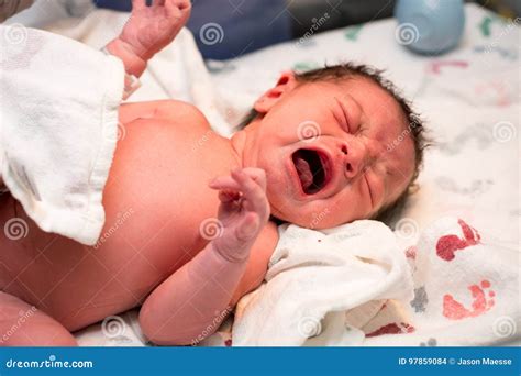 newborn baby girl moments   born stock photo image