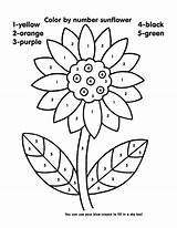 Number Color Coloring Pages Sunflower Printable Numbers Kids Printables Easy Sheets Colouring Grade Activity Sunflowers Book Work Colors Fun Adult sketch template