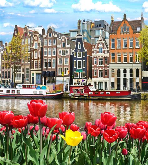 amsterdam tours fun facts  amsterdam netherlands nordic experience
