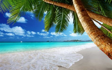 Free Download Tropical Beach Hd Desktop Wallpapers For Background