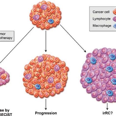 Pdf Cancer Imaging In Immunotherapy
