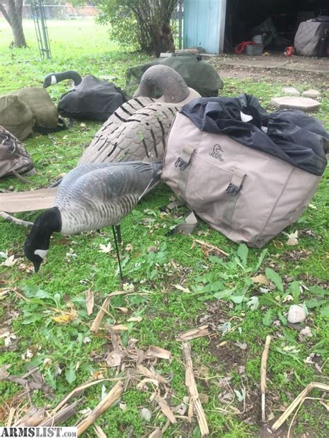 Armslist For Sale Duck Goose Decoys And Layout Blinds