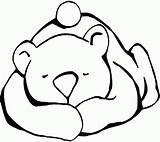 Durmiendo Osito Bear Ositos Agrandar Hibernating Snores sketch template