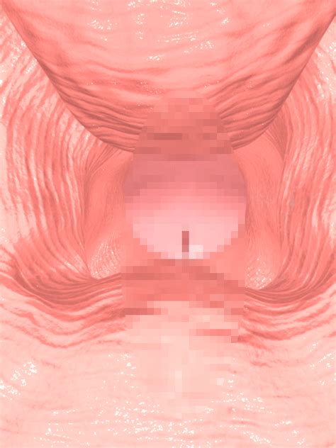 censored pussy penis sex vaginal wet penetration 3d close up urethra 3d inside view