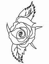 Rose Coloring Compass Getdrawings sketch template