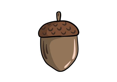 draw  acorn design school