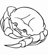 Crabe Toupty Navigateur Boutons Peux Servir Fonctionnent Coloriageaimprimer Gratuitement sketch template