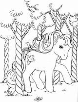 Coloring Pages Pony Little Adult Poney Kids Colouring G1 Unicorn Coloriage Petit Mon Filly Horse Mlp Choose Board Books sketch template