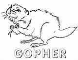 Gopher sketch template
