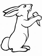 Rabbit Coloring Pages Printable Kids Bunny Hase Bestcoloringpagesforkids Zum Ausmalbild Rabbits Von Baby Kaninchen Ausmalbilder Und Ausmalen Cute Möhre Mit sketch template
