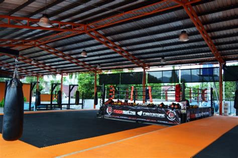 tiger muay thai camp in phuket mein erfahrungsbericht